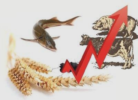 農(nóng)林牧漁.jpg 農(nóng)林牧漁.jpg