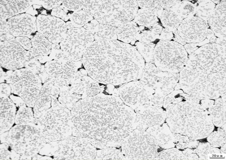 不銹鋼精密管的金相檢驗.png 不銹鋼精密管的金相檢驗.png