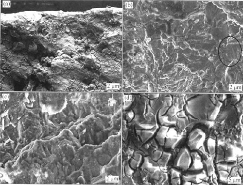 薄壁不銹鋼管的腐蝕疲勞.png 薄壁不銹鋼管的腐蝕疲勞.png
